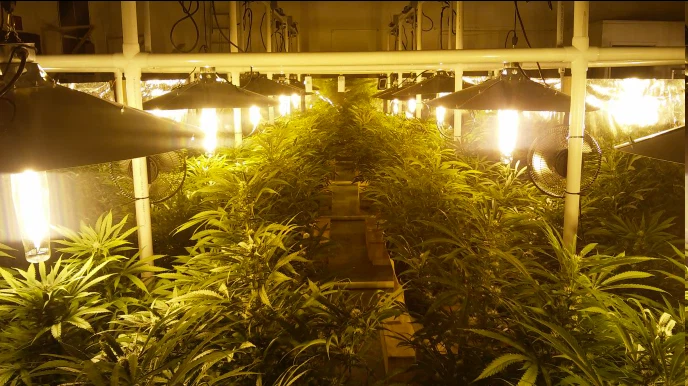 led grow panel light led grow panel light